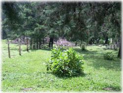 nature surrounded properties