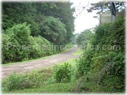 nature surrounded properties