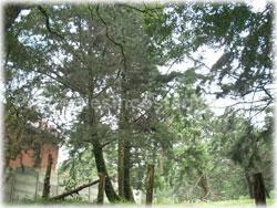 Heredia for sale, flat lot
