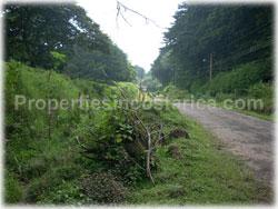 nature surrounded properties