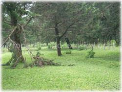 Heredia mountain properties