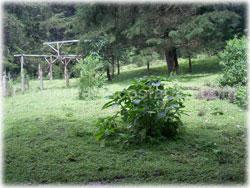 Heredia mountain properties