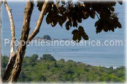 ocean view, a comfortable price, exotic and unique Costa Rica wildlife, dramatic sunsets,1