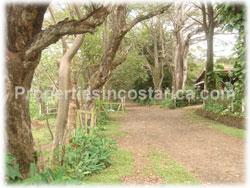 Costa Rica real estate, La Garita Costa Rica, real estate, land for sale, La Garita farm, development, investment