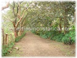 Costa Rica real estate, La Garita Costa Rica, real estate, land for sale, La Garita farm, development, investment