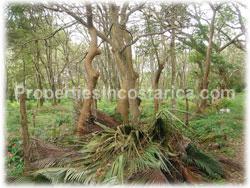 Costa Rica real estate, La Garita Costa Rica, real estate, land for sale, La Garita farm, development, investment