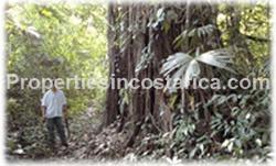 Costa Rica real estate, Golfo Dulce, Ocean view, land for sale, investment land, building land
