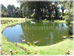 Heredia for sale, Heredia homes, Heredia real estate, full maids quarters, TV room, family room, Heredia mountain view houses, Heredia farm house, Heredia property, Heredia luxury estate, Heredia exclusive property, 1715