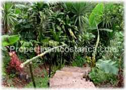 Grecia for sale, Grecia real estate, Grecia Costa Rica, brand new, hill, peaceful, nature, 1546