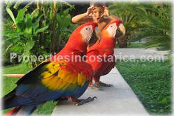 Pavones Costa Rica, Pavones real estate, for sale, Pavones houses, luxury, pool, oceanview, 1821