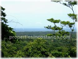 organic plantation, carbon neutral costa rica
