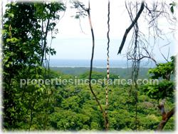 organic plantation, carbon neutral costa rica
