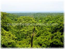 organic plantation, carbon neutral costa rica
