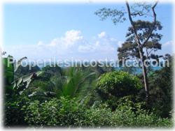 Costa Rica real estate, ocean view properties, golfito real estate, Golfo Dulce, Osa peninsula, vacation home