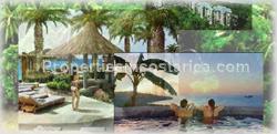 swimming pool, privacy, security, paradise, 1466