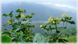 property, luxury estate for sale, costa rica getaway, hideaways, costa rica real estate video, escazu view home, river properties
