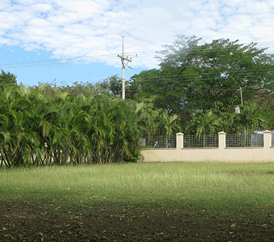 Rare Ocean View Lot in Tamarindo's Top Gated Community
