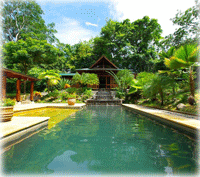 Discover a Luxury Like No Other!
