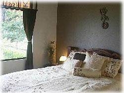 Costa Rica real estate, Costa Rica vacation rentals, Arenal volcano rentals, Arenal Volcano, Arenal lake, vacation cottage for rent