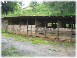 horse breeding property
