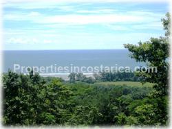 Costa Rica ocean view, Costa Rica lots, Hatillo Puntarenas real estate, Hatillo in Puntarenas, Hatillo beach, Hatillo ocean view, Hatillo lot for sale, security, wildlife, peace, rivers, rainforest,1517