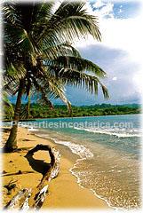 Limon real estate, Limon hotel, Puerto viejo estate