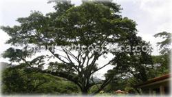 Jaco beach real estate, jaco homes for sale, single house, for sale, estate home, herradura properties