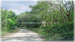 Guanacaste real estate, investment opportunities, Nicoya Peninsula, land for sale, Guanacaste for sale, Guanacaste acres, hectares, oceanview land, access, teak wood, rives, 1798