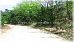 Guanacaste real estate, investment opportunities, Nicoya Peninsula, land for sale, Guanacaste for sale, Guanacaste acres, hectares, oceanview land, access, teak wood, rives, 1798