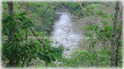 Guanacaste real estate, investment opportunities, Nicoya Peninsula, land for sale, Guanacaste for sale, Guanacaste acres, hectares, oceanview land, access, teak wood, rives, 1798