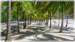 Guanacaste real estate, investment opportunities, Nicoya Peninsula, land for sale, Guanacaste for sale, Guanacaste acres, hectares, oceanview land, access, teak wood, rives, 1798
