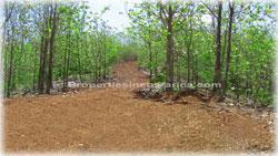 Guanacaste real estate, investment opportunities, Nicoya Peninsula, land for sale, Guanacaste for sale, Guanacaste acres, hectares, oceanview land, access, teak wood, rives, 1798
