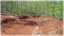 Guanacaste real estate, investment opportunities, Nicoya Peninsula, land for sale, Guanacaste for sale, Guanacaste acres, hectares, oceanview land, access, teak wood, rives, 1798