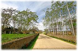 large, spacious, town houses, ideal, dream, pacific, gold coast, real estate, buy, Costa Rica