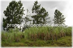 Costa Rica farms for sale, Sarapiqui real estate, rivers,waterfalls, water springs mountain range,cattle farms, land for cattle, cattle raising, cattle breeding, Costa Rica cattle investment, 1272