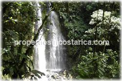 Costa Rica farms for sale, Sarapiqui real estate, rivers,waterfalls, water springs mountain range,cattle farms, land for cattle, cattle raising, cattle breeding, Costa Rica cattle investment, 1272