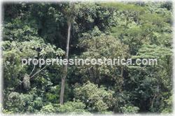 Costa Rica farms for sale, Sarapiqui real estate, rivers,waterfalls, water springs mountain range,cattle farms, land for cattle, cattle raising, cattle breeding, Costa Rica cattle investment, 1272