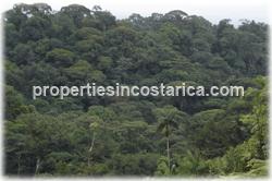 Costa Rica farms for sale, Sarapiqui real estate, rivers,waterfalls, water springs mountain range,cattle farms, land for cattle, cattle raising, cattle breeding, Costa Rica cattle investment, 1272