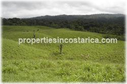 Costa Rica farms for sale, Sarapiqui real estate, rivers,waterfalls, water springs mountain range,cattle farms, land for cattle, cattle raising, cattle breeding, Costa Rica cattle investment, 1272