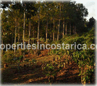 Investment Land for Sale Right in Jaco Downtown!