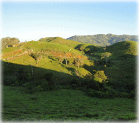 Estate-Style View Lots in Salitral de Santa Ana for Refined Country Living