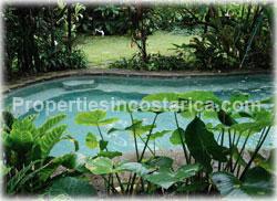  Costa Rica real estate, for rent, escazu apartments, escazu rentals, fully furnished, studio