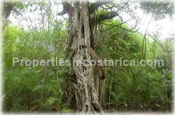 Playa Lagarto for sale, Guanacaste beach, fully titled, sunsets, coyote beach, 1671