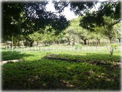 Pavones real estate, pavones costa rica, for sale, land in pavones, lots, near beach, close to beach, investment, south pacific land, 1772