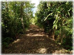 Costa Rica real estate, Golfito Costa Rica properties, ocean view land for sale, panoramic views, Golfito land for sale, river