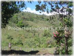 Southern Costa Rica real estate, Mountain farm, mountain view, ciudad neilly, san vito, rustic retreat home, farm for sale