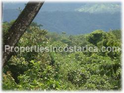 Costa Rica hilltop land, land for sale, Montezuma land, Montezuma ocean view, Montezuma real estate, Playa Grande, Playa Tambor, 1560