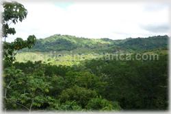 Dominical investment, property complex, B&B, bed and breakfast, investment potential, large property, fertile land, acres, furnished, for sale, large pool, internet, 1474