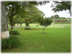 beautiful twin houses for rent