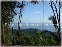 Lot for sale, Dominical lot, investment, opportunity, views, surfing, flat area, hill, ocean, Pacific, residential lot, 1475